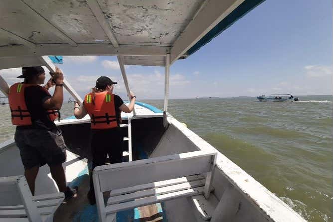 Trip to Puerto El Morro with Dolphin Watching