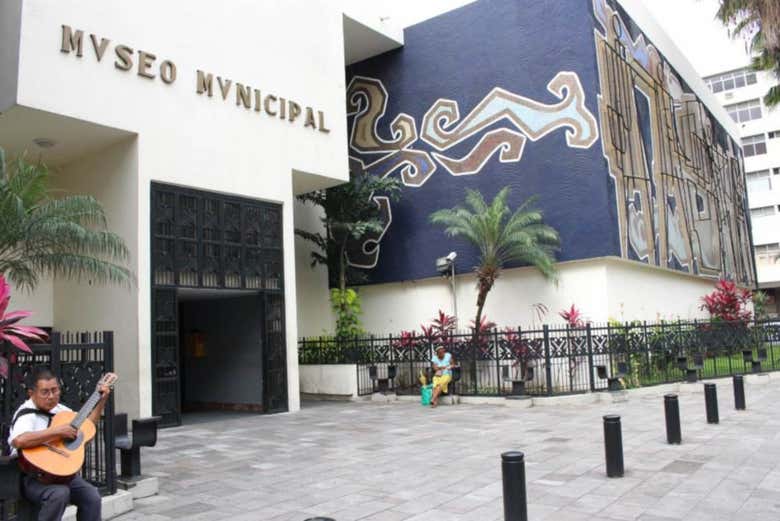 Imagen 5