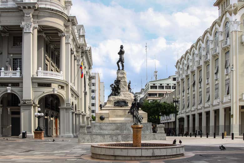 Imagen 7