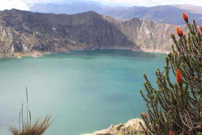 Imagen 5