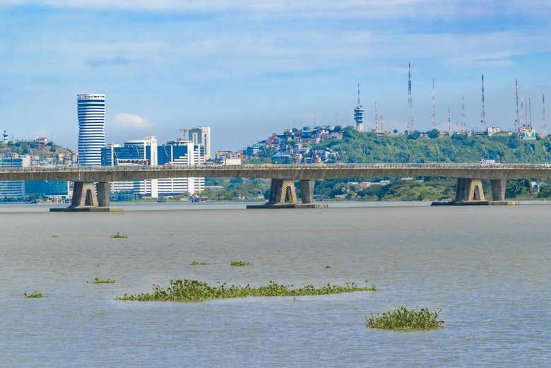 Imagen 8