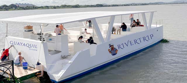 Giro in catamarano sul fiume Guayas