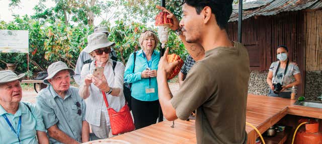 Tour del cioccolato della Hacienda Cacao y Mango