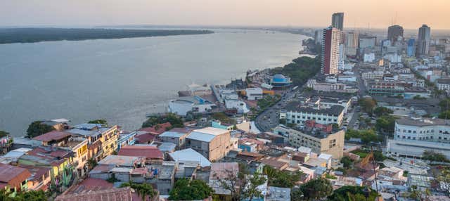 Scalo a Guayaquil? Tour privato dall'aeroporto