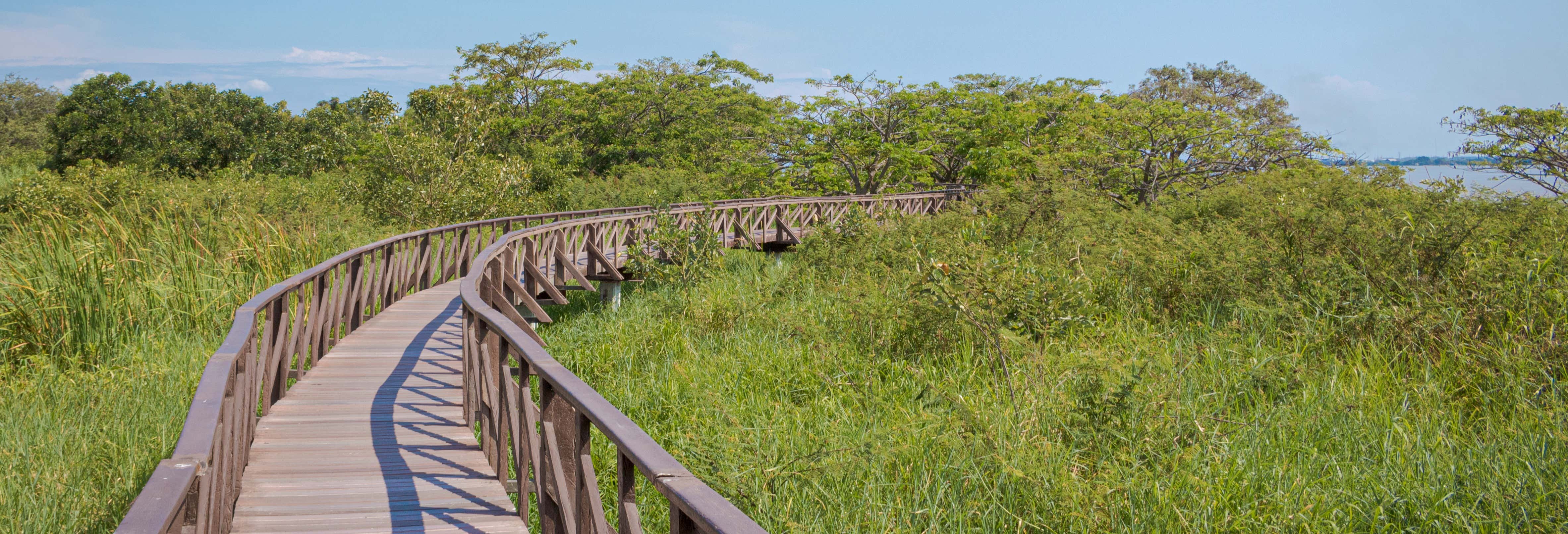 Guayaquil Historical Park Tour + Catamaran Ride