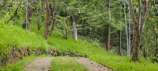 Visita guidata al Giardino Botanico