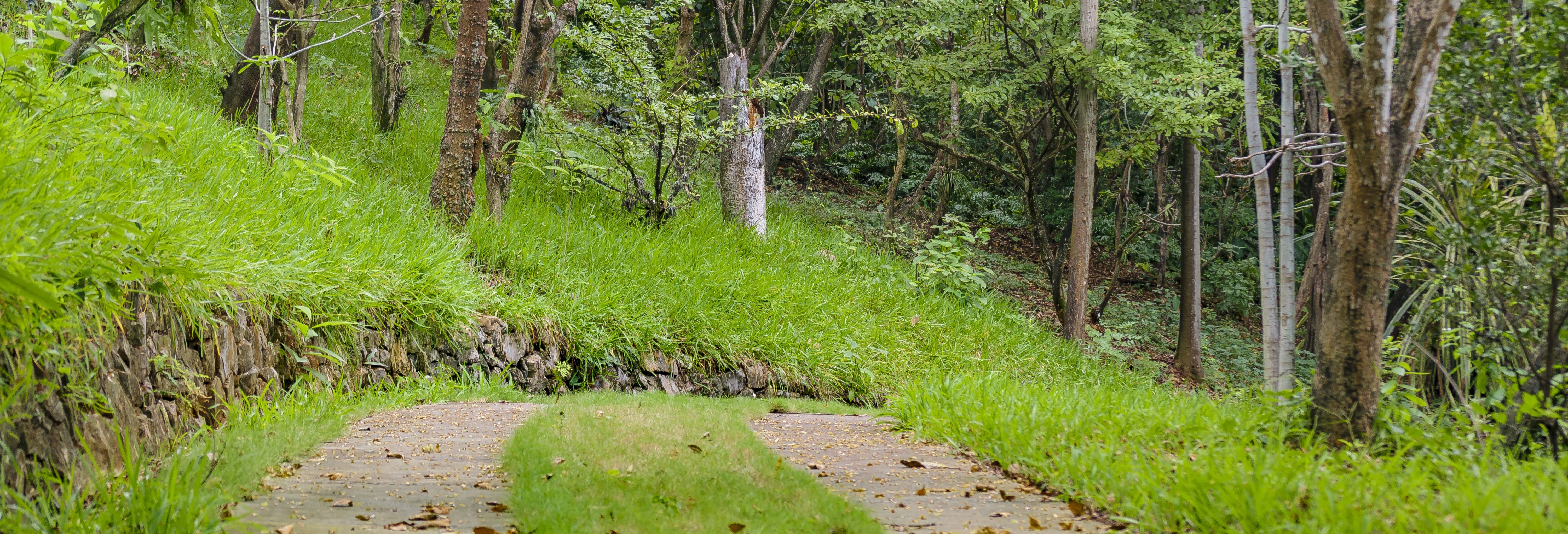 Visita guidata al Giardino Botanico