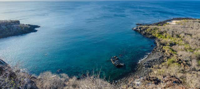Tour di 5 giorni all'isola di San Cristóbal con immersioni