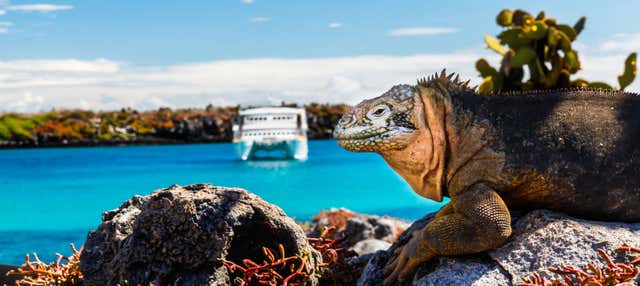 Crociera di 8 giorni alle Galapagos al completo
