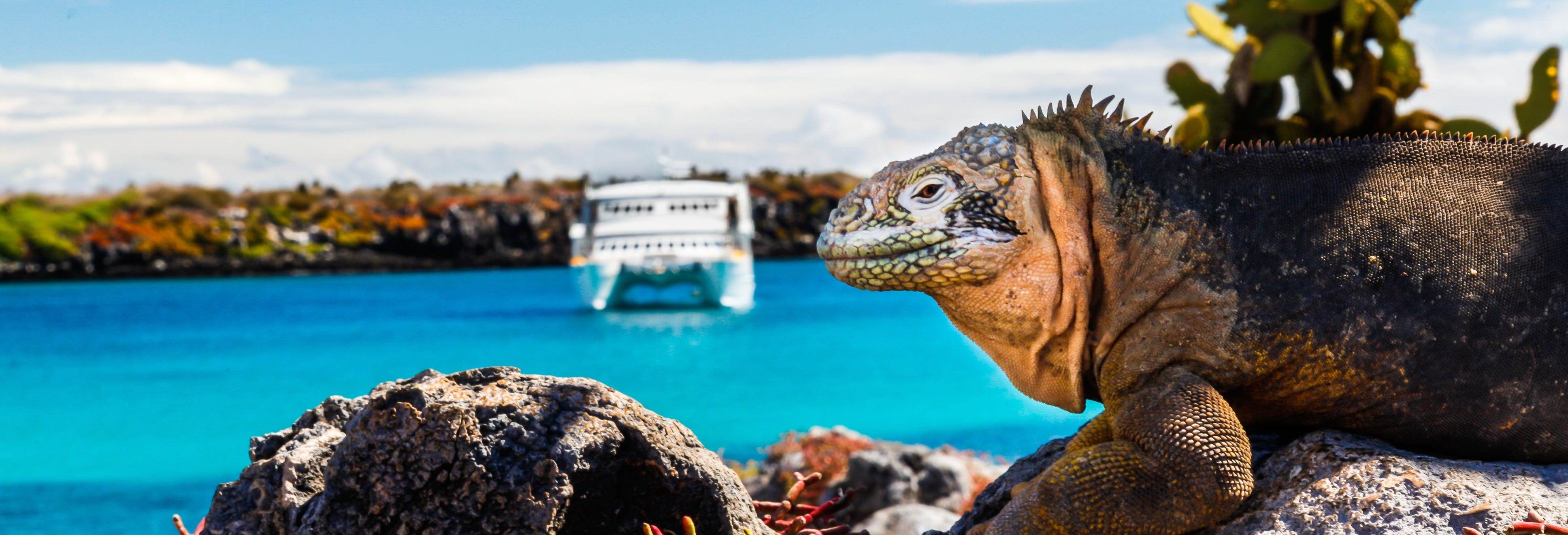 Galapagos 8-day Cruise