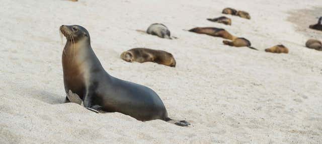 Escursione alla spiaggia di La Lobería