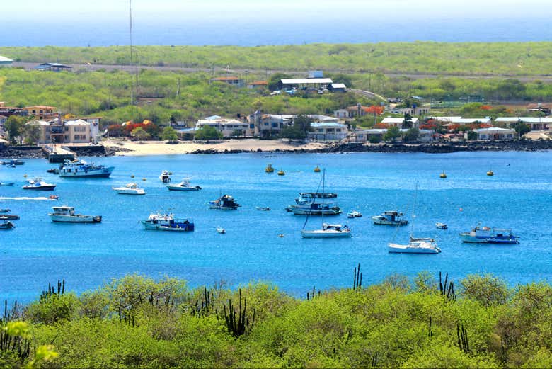 Imagen 5