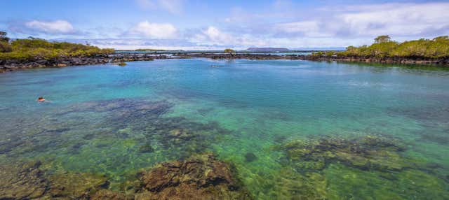 Escursione alla baia Concha Perla
