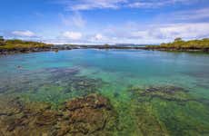 Excursión a la bahía Concha Perla