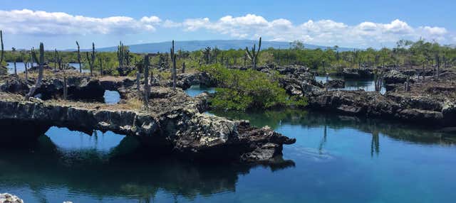 Escursione a Los Túneles