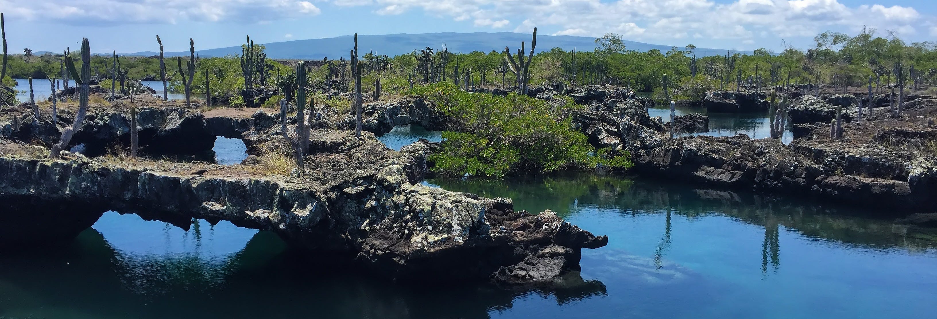 Los Tuneles Snorkelling Tour