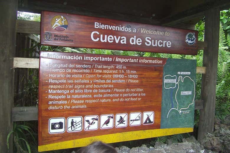 Imagen 2