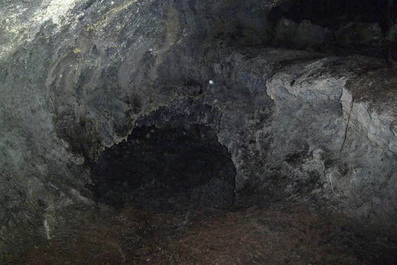 Imagen 4