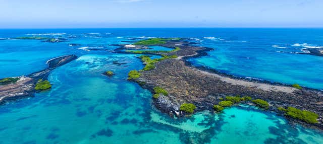 Tour dell'isola Isabela in kayak