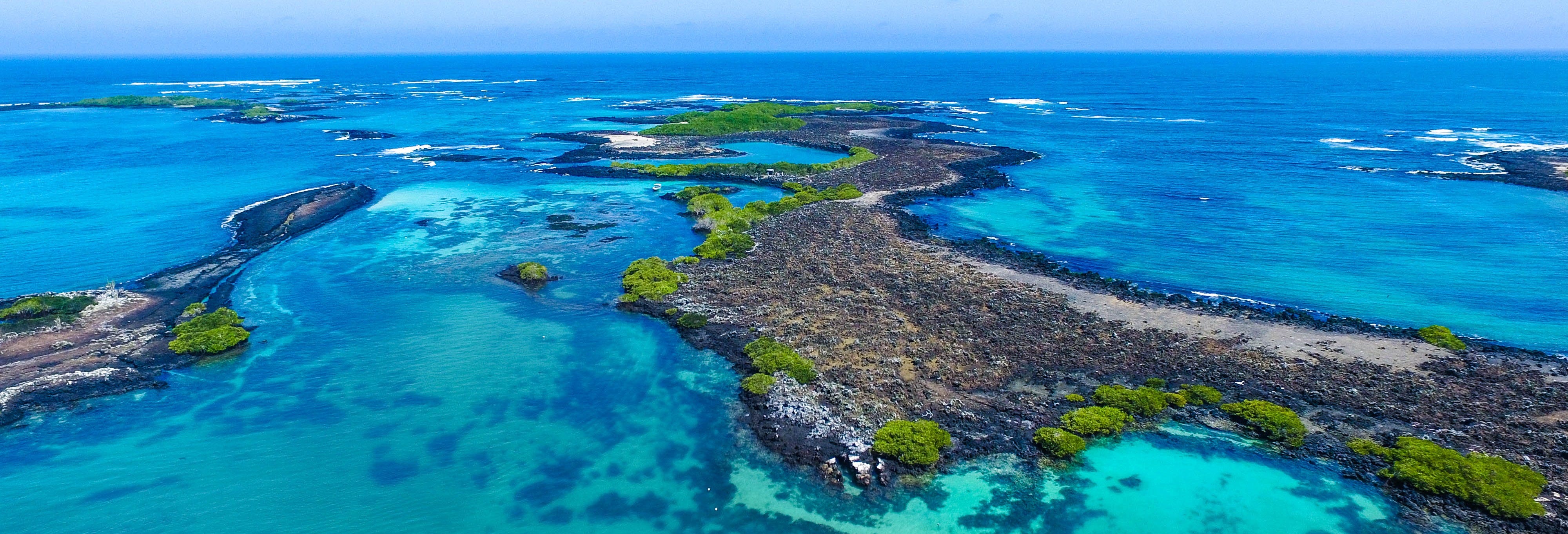 Kayaking in Isabela Island