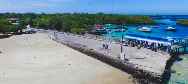 Tour panoramico di Isola Isabela 