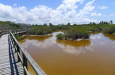 Tour en bicicleta por los humedales de Isla Isabela