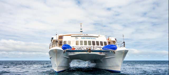 Crociera di 5 giorni nell'est e nel sud delle isole Galápagos