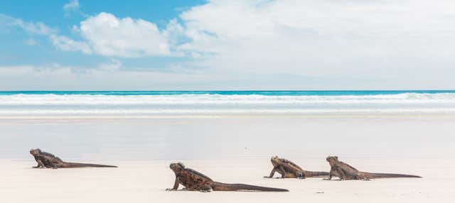 Tour di 7 giorni nelle isole Isabela, Santa Cruz e San Cristóbal