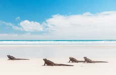 Tour de 7 días por las islas Isabela, Santa Cruz y San Cristóbal