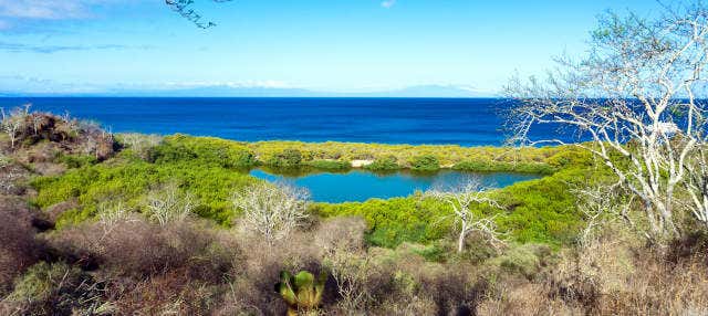 Crociera di 4 giorni al sud delle Galapagos