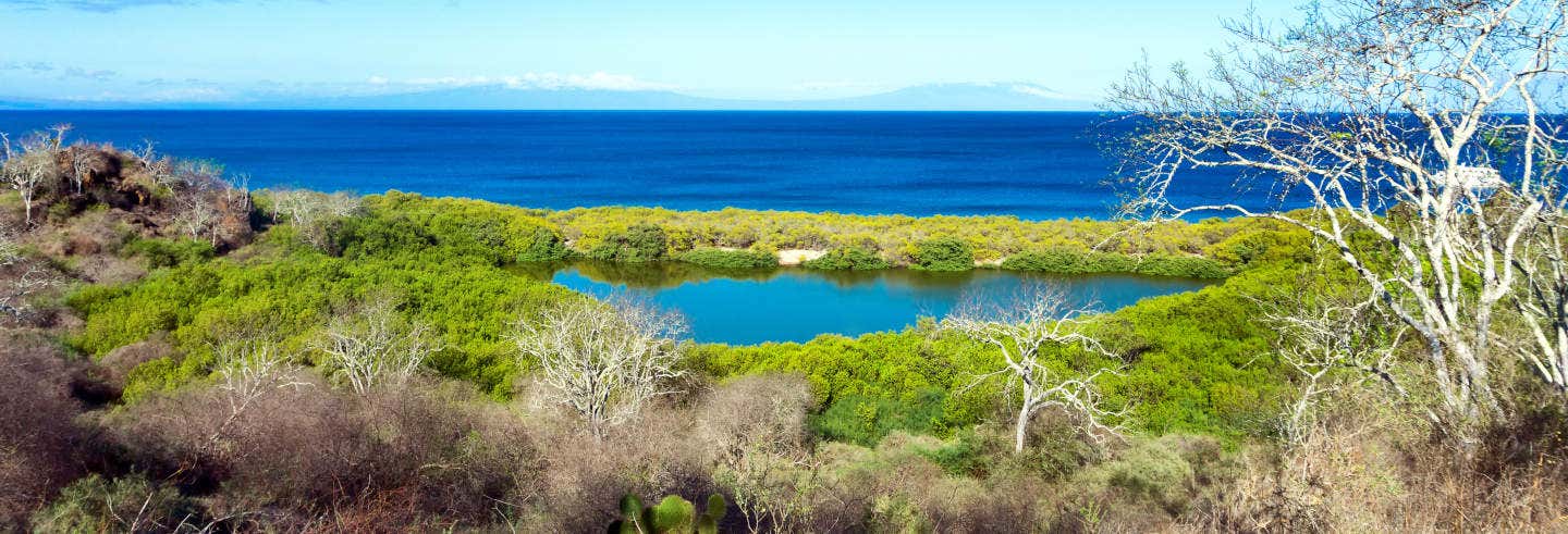 Crociera di 4 giorni al sud delle Galapagos