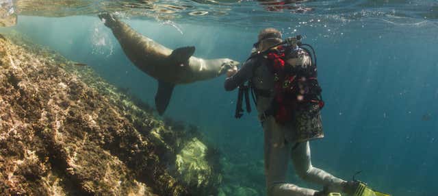 Crociera di 8 giorni nel nord delle Galápagos con immersione