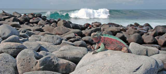 Crociera di 8 giorni alle isole Galapagos