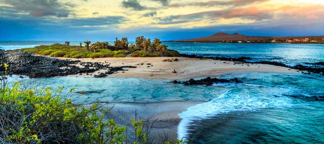 Crociera di 8 giorni al nord delle Galapagos