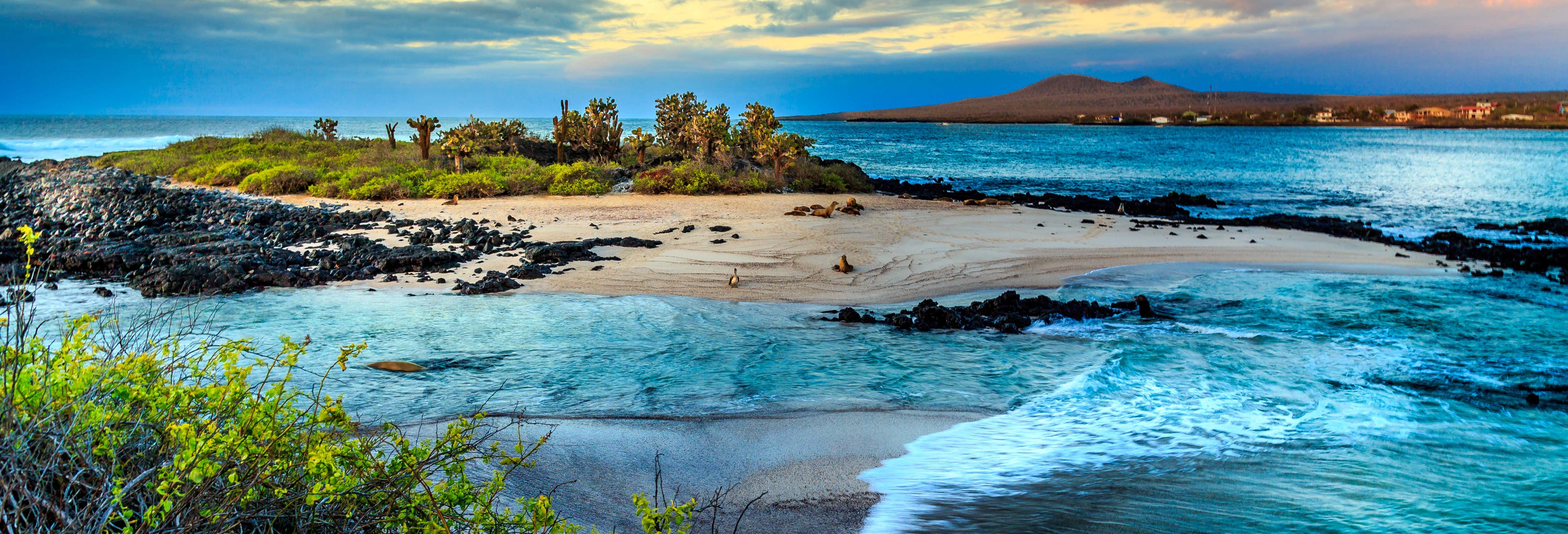Crociera di 8 giorni al nord delle Galapagos