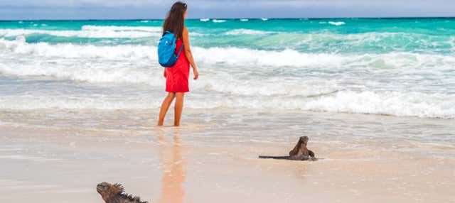 Escursione alla spiaggia di Tortuga Bay