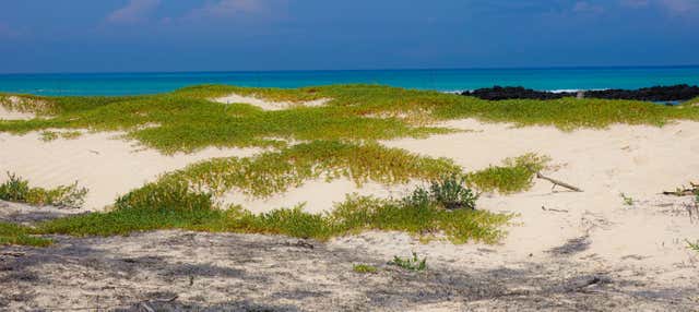 Escursione a Cerro Mesa e Garrapatero