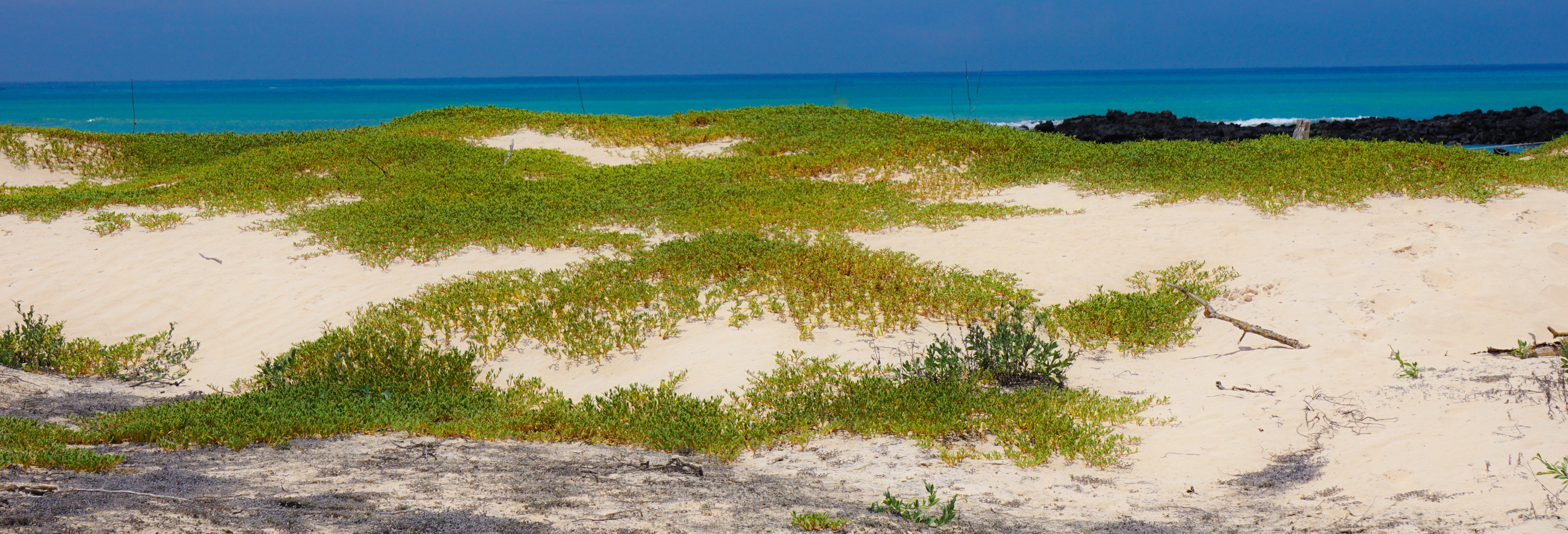 Cerro Mesa & Garrapatero Beach Tour