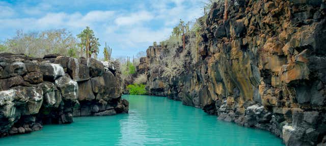 Escursione a Las Grietas e a Playa de los Alemanes