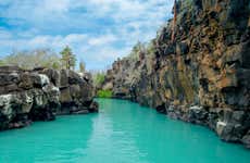 Las Grietas & Alemanes Beach Day Trip