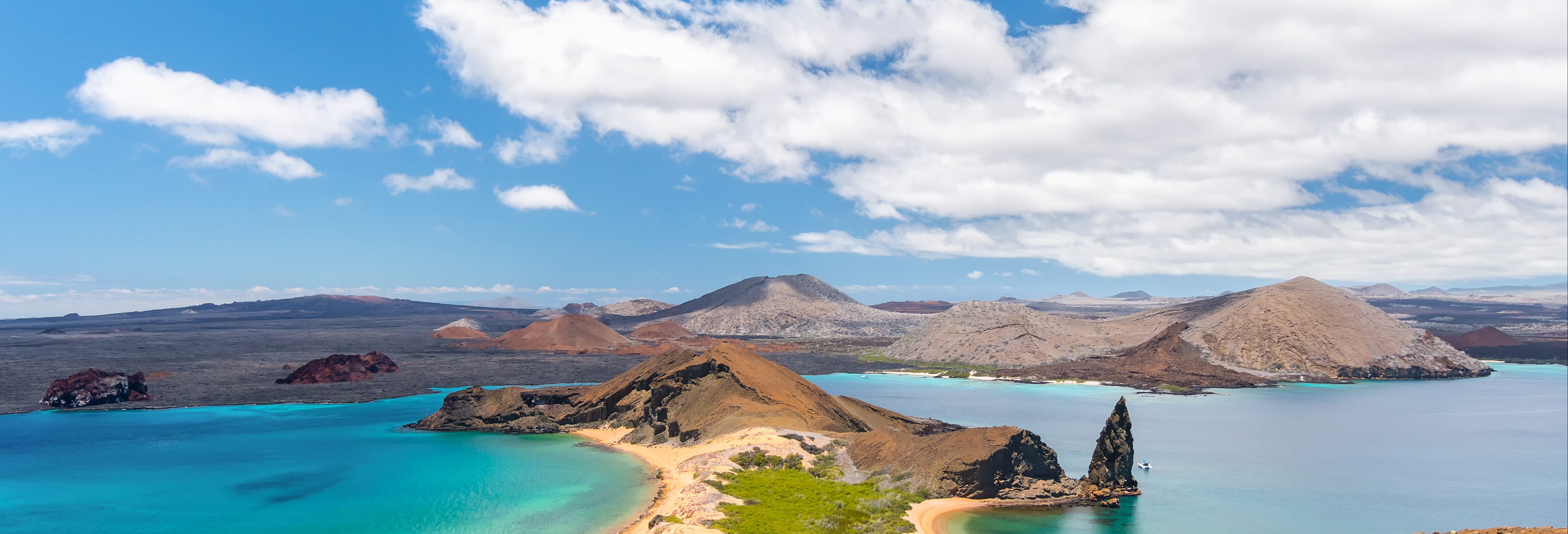 Bartolomé Island Tour