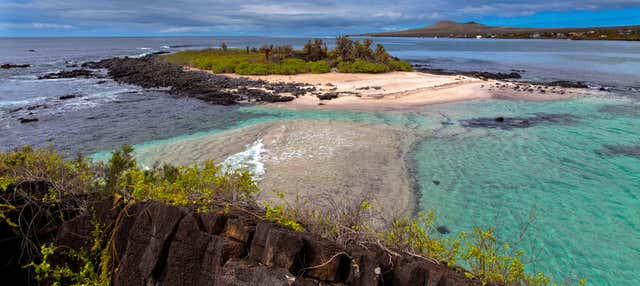 Escursione all'Isola Floreana e all'isolotto di Enderby