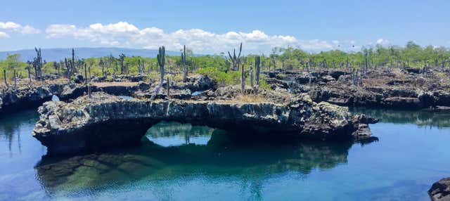 Escursione all'Isola Isabela