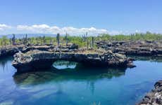 Isabela Island Tour