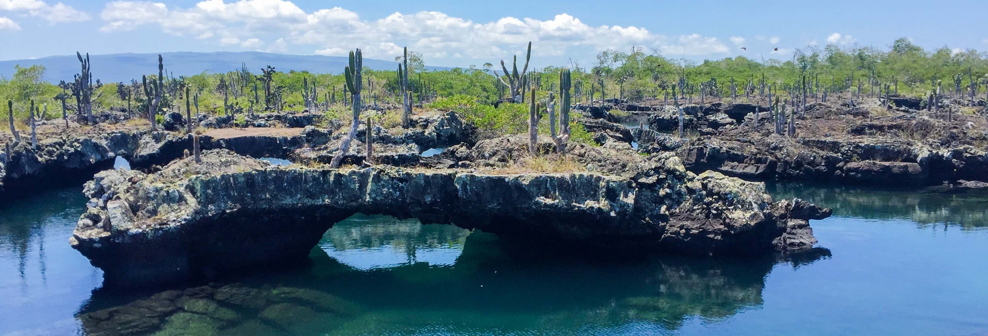 Escursione all'Isola Isabela