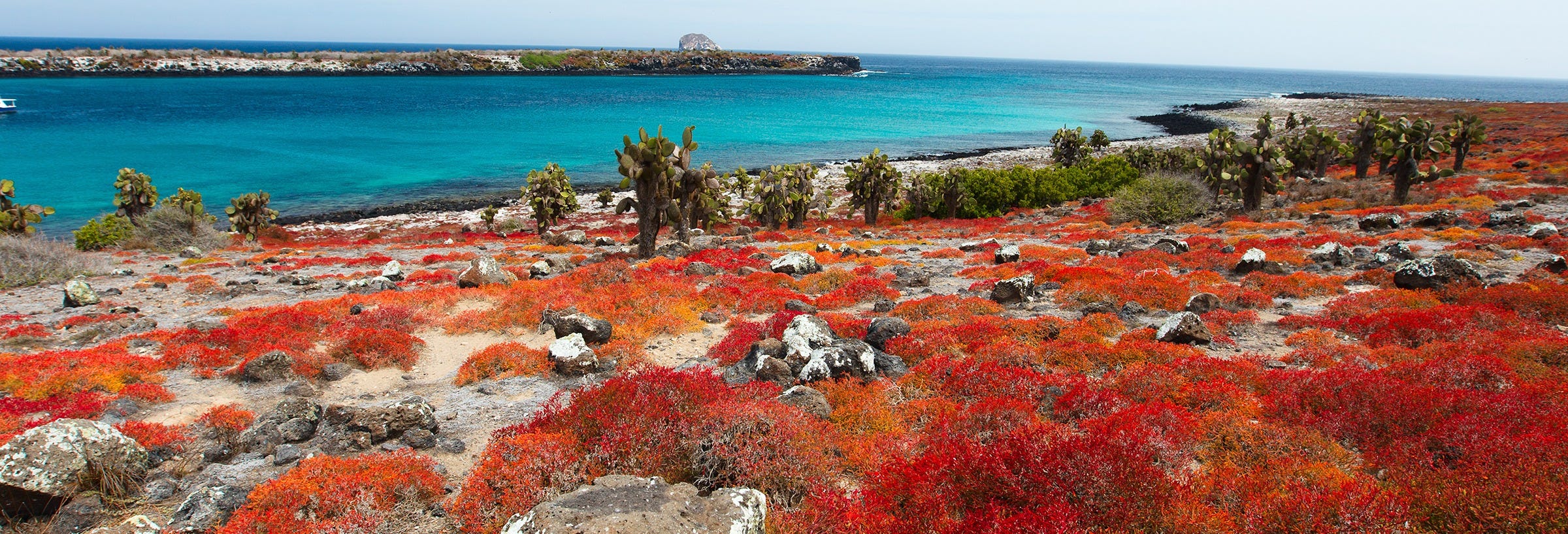 South Plaza Island Excursion