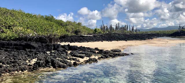 Escursione all'Isola di North Seymour