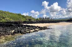North Seymour Island Tour