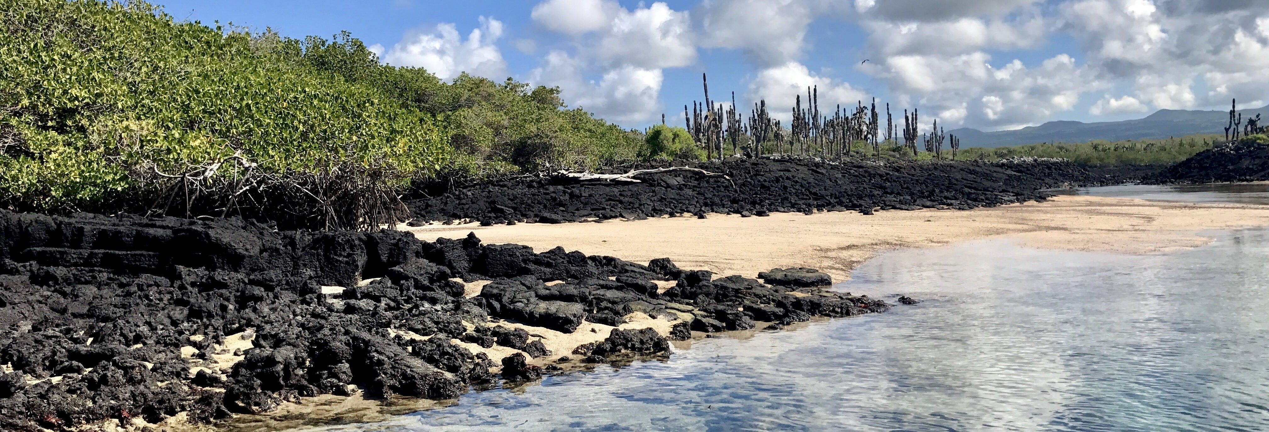 North Seymour Island Tour