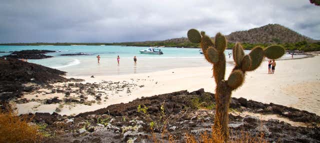 Escursione alla spiaggia El Garrapatero